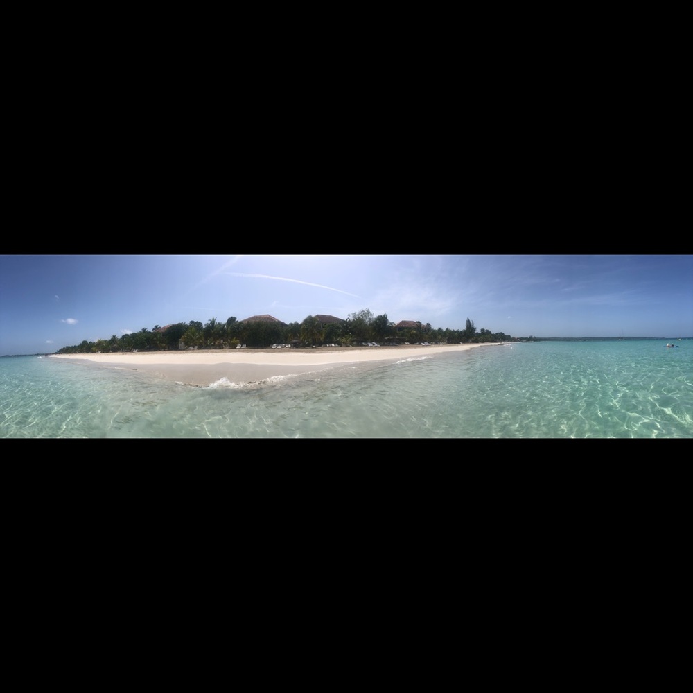 Meet your Posher, Anne